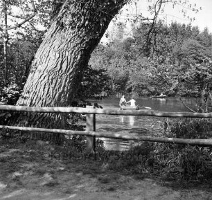 Kupfermühle: Kupfermühlenteich: vorn Holzgeländer: links Baum: hinten Ruderboote mit Ausflüglern: dahinter Wald