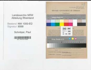 Entnazifizierung Paul Schnitzer, geb. 26.03.1891 (Regierungsinspektor)