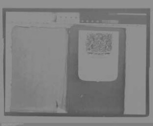 . Geldgeschäfte des Grafen Johann VI. von Nassau-Dillenburg: Band 9