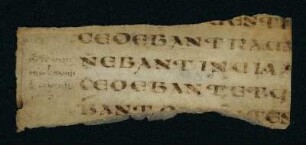 Evangelium secundum Matthaeum. Fragment