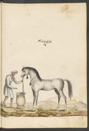Illustration: f. 89v-90r