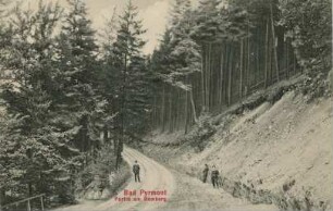 Bomberg