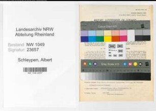 Entnazifizierung Albert Schleypen , geb. 07.10.1907 (Kaufmann)