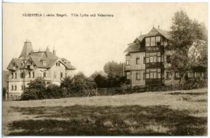 Bärenfels. Villa Lydia und Felsenburg