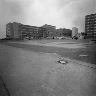 Anlegung des Patientenparks des Neuen St. Vincentiuskrankenhauses in der Steinhäuserstraße