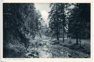 Grabentour. An der Grabentour