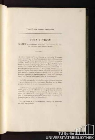 12. Doux-Juvigny. Malus illecebrosa, fructu medio, subquinquecostato, hinc citrino, indè dilutè rubro, punctis maculisque distincto.
