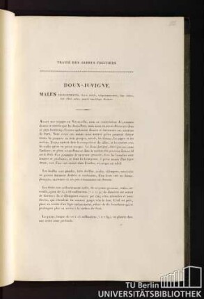 12. Doux-Juvigny. Malus illecebrosa, fructu medio, subquinquecostato, hinc citrino, indè dilutè rubro, punctis maculisque distincto.