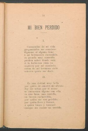 Mi bien perdido