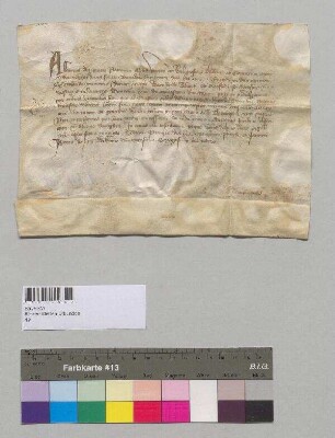 Bischof Albert [III.] von Passau gewährt wie seine Vorgänger Bernhard, Albert [II.] und Gottfried dem Kloster Metten Mautfreiheit für alle durch Passau auf der Donau von Österreich geführten Lebensmittel auf Lebenszeit.;. S: Bischof Albert [III.] von Passau