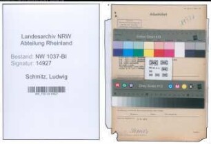 Entnazifizierung Ludwig Schmitz , geb. 30.11.1892 (Zollinspektor)