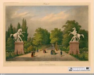 Hofer's Pferde-Statuen : Stuttgart