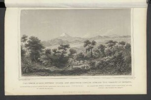 The region of oaks between Ialapa and Quautepec looking towards the volcano of Orizava.