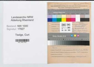 Entnazifizierung Curt Tiedge, geb. 09.05.1902 (Bauingenieur)
