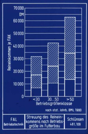 Streuung des Reineinkommens nach Betriebsgröße im Futterbau (nach Stat. Jahrbuch BML 1980)