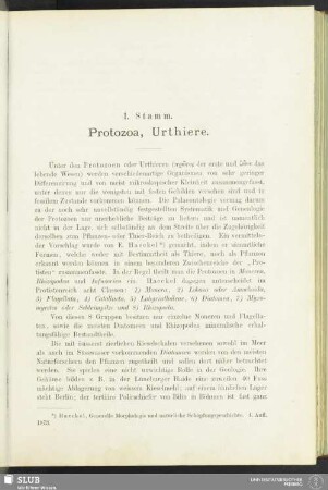 1. Stamm. Protozoa, Urthiere