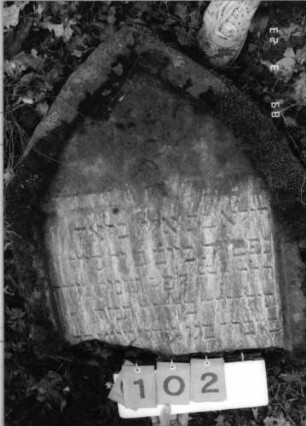 Grabstein 102 (Index: 99792184) Material: Sandstein Zustand: verwittert, unterer Teil der Stele fehlt, Stele liegend Maße HxBxT: 72x64x10 cm Beschreibung: Stele, Spitzbogenabschluß, Schriftfeld eingetieft Symbolik: Zweige: Grabstein 102
