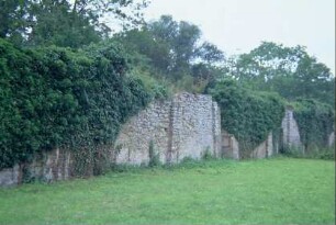 bewachsene Mauer des Schlossparks, Innenseite