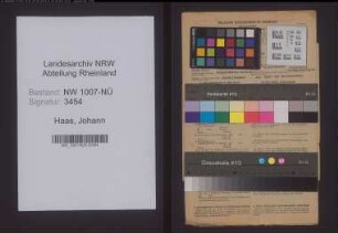 Entnazifizierung Johann Haas , geb. 23.02.1909 (Posthalter)