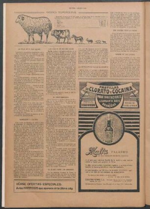 Origen de las letras