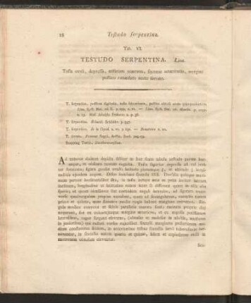 Tab. VI: Testudo Serpentina