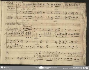 Cavatina: "Oh che spasso oh che diletto"