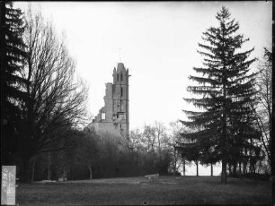 Klosterruine Limburg Westseite Südturm