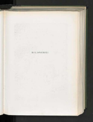 Bildnerei.