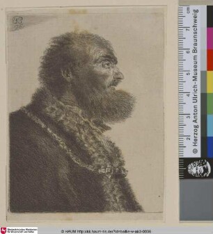 [Ein alter Mann, nach rechts profiliert; An old man in profile right]
