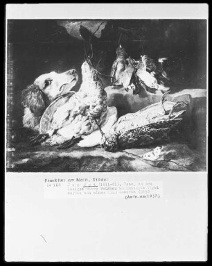 Jagdstilleben mit einem Hund und toten Vögeln