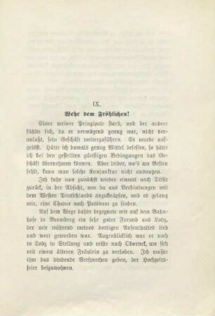 IX. Wehe dem Fröhlichen!