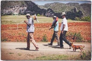Auf dem Weg zum Gig, Viñales