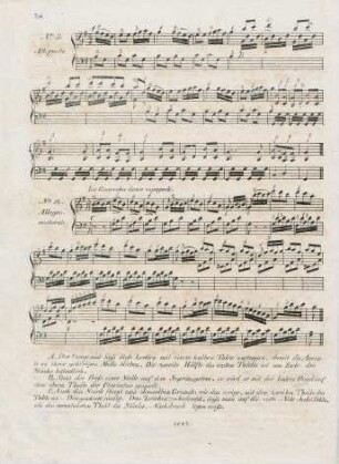 No. 11, No. 12 La Guaracha danse espagnole