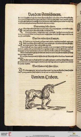 Von dem Einhorn