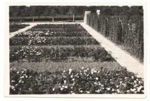 Zuckerraffinerie Fr. Meyers Sohn, Tangermünde Direktorwohnhaus: Direktorwohnhaus Garten