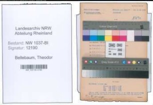Entnazifizierung Theodor Bellebaum , geb. 12.01.1908 (Kaufm.Angestellter)