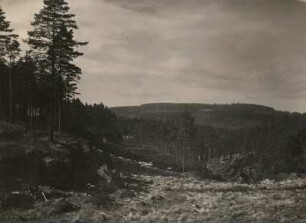 Sächsische Schweiz. Der Große Winterberg. Von Osten, vom Plateau nach den Weberschlüchten