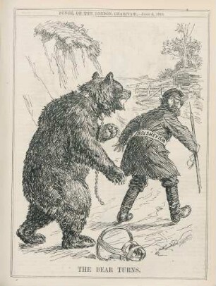 The bear turns