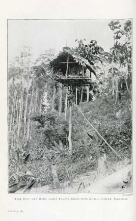Tree Hut, Ulu Batu, about twelve miles from Kuala Lumpur, Selangor
