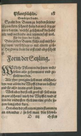 Form der Setzling.
