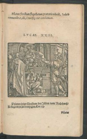 Lucae. XXIII.