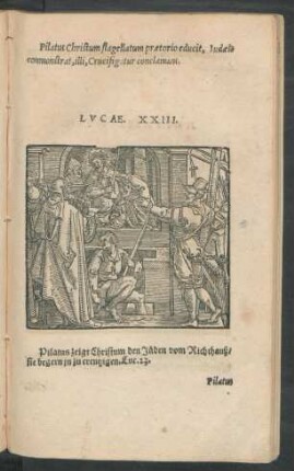 Lucae. XXIII.