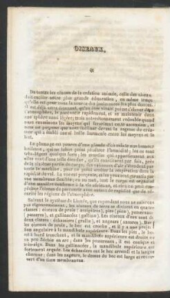 Oiseaux.