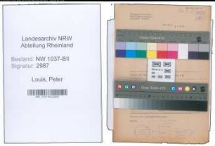 Entnazifizierung Peter Louis , geb. 22.01.1908 (Landwirt)