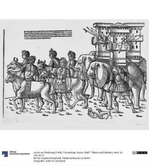 Triumphzug Cäsars, Blatt 7: Stiere und Elefanten