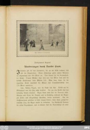 Fünfzehntes Kapitel. Wanderungen durch Davids Stadt.