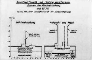 Arbeitswirtschaft und Umfang verschiedener Formen der Rindviehhaltung mit 1,5 AK (3600 AKh/Jahr ausschließlich für Rindviehhaltung)