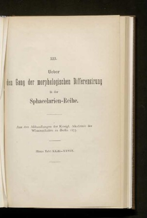 XIII. Ueber den Gang der morphologischen Differenzierung in der Sphacelarien-Reihe