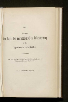 XIII. Ueber den Gang der morphologischen Differenzierung in der Sphacelarien-Reihe