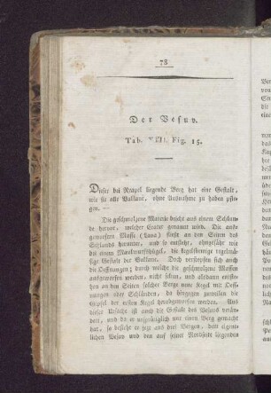 Der Vesuv. Tab. VIII. Fig. 15.